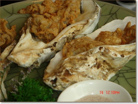 deep fried oysters